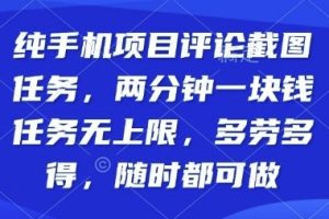 纯手机项目评论截图任务，两分钟一块钱多劳多得，随时随地都能做【揭秘】