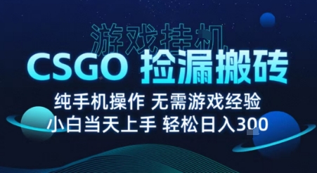8月最新游戏搬砖,CSGO纯挂G,不需要玩游戏,实现真挂G,月入1W+【揭秘】插图 8月最新游戏搬砖,CSGO纯挂G,不需要玩游戏,实现真挂G,月入1W+【揭秘】