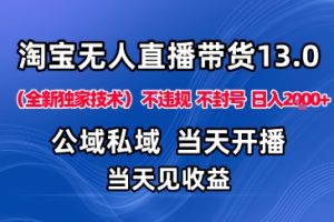 淘宝无人直播13.0，公域私域技术，不封号，不违规布局下半年旺季赛道，日入1K+（独家技术）【揭秘】