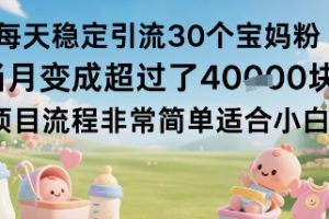 每天稳定引流30个宝妈粉当月变成超过了1W+项目流程非常简单适合小白