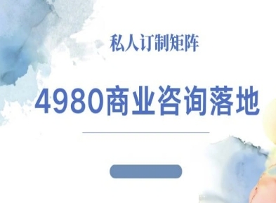 4980商业咨询师落地课程-ip运营高客单教程插图 4980商业咨询师落地课程-ip运营高客单教程