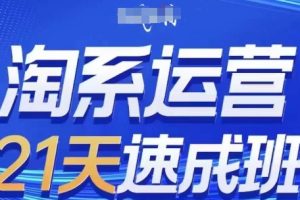 淘系运营21天速成班(更新25年10月)，0基础轻松搞定淘系运营，不做假把式
